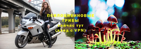ECSTASY Абаза