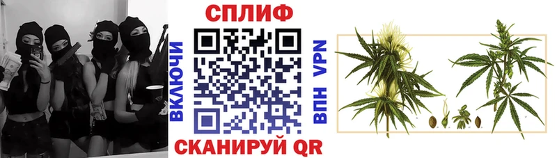 что такое   Приморско-Ахтарск  Конопля SATIVA & INDICA 